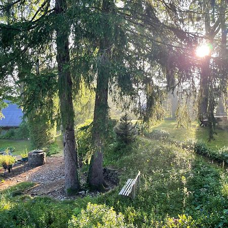 Liebevoll Eingerichtetes Ferienhaus Mit Grossem Garten Clausthal-Zellerfeld Εξωτερικό φωτογραφία