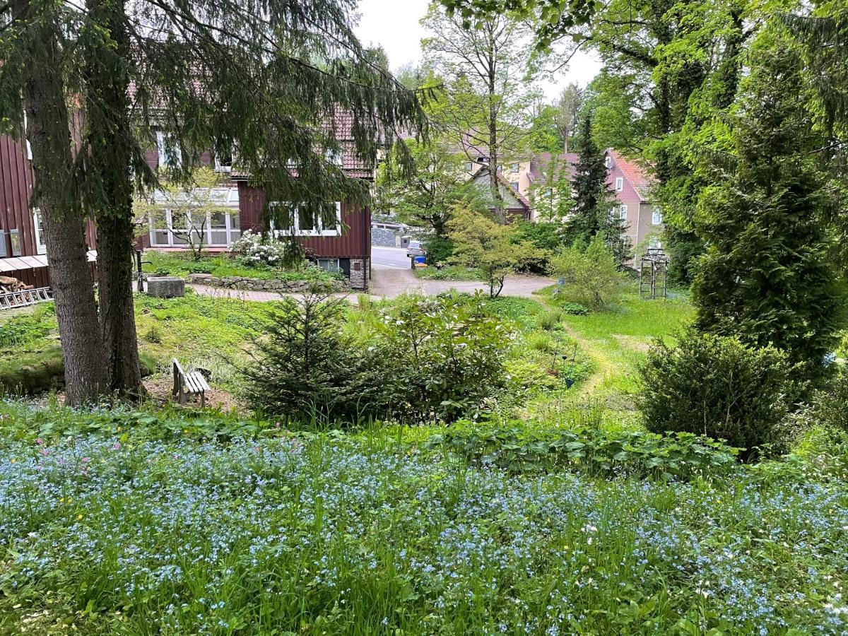 Liebevoll Eingerichtetes Ferienhaus Mit Grossem Garten Clausthal-Zellerfeld Εξωτερικό φωτογραφία