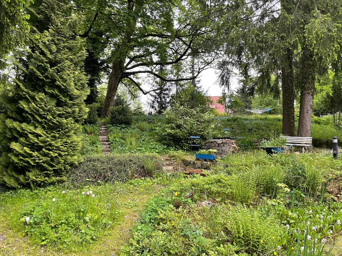 Liebevoll Eingerichtetes Ferienhaus Mit Grossem Garten Clausthal-Zellerfeld Εξωτερικό φωτογραφία