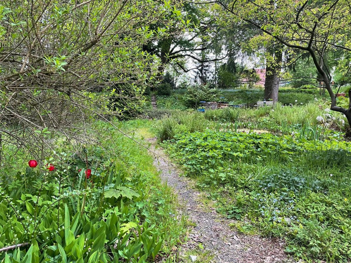 Liebevoll Eingerichtetes Ferienhaus Mit Grossem Garten Clausthal-Zellerfeld Εξωτερικό φωτογραφία