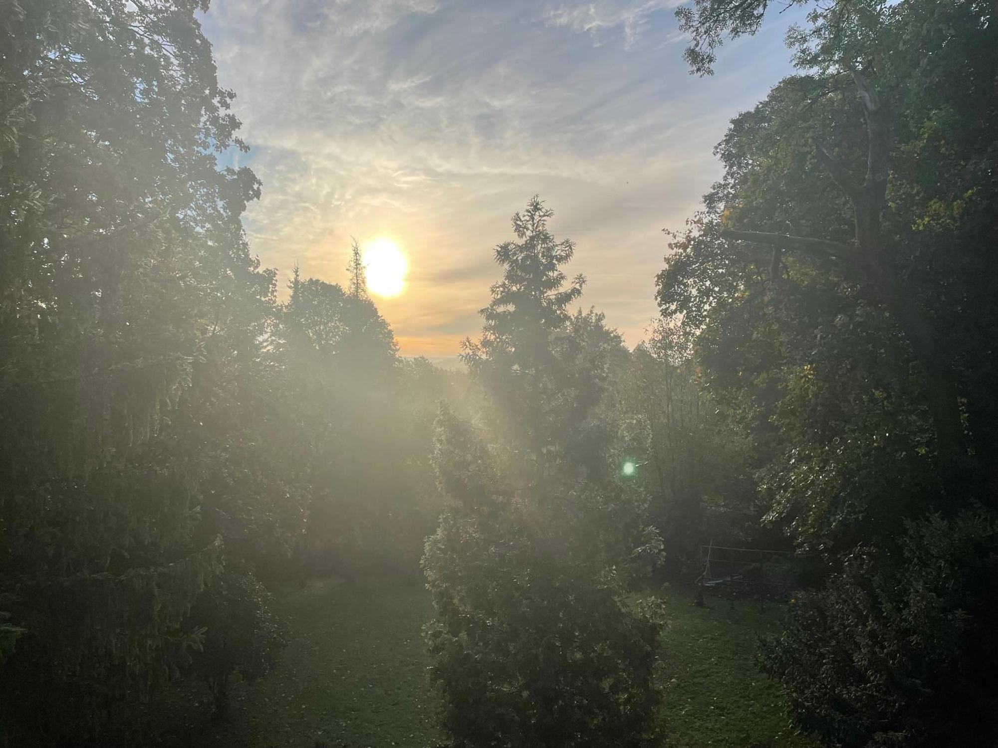 Liebevoll Eingerichtetes Ferienhaus Mit Grossem Garten Clausthal-Zellerfeld Εξωτερικό φωτογραφία