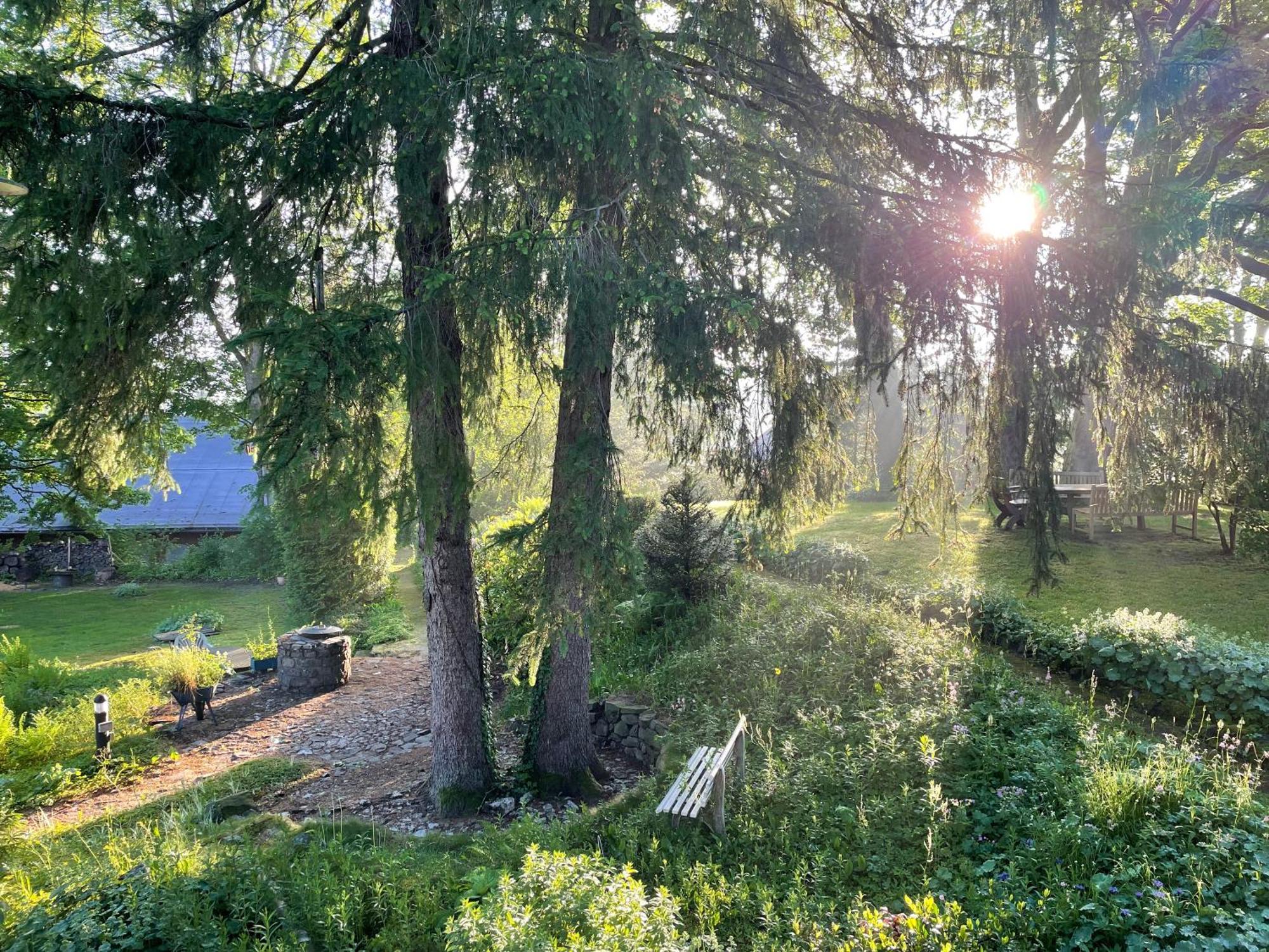 Liebevoll Eingerichtetes Ferienhaus Mit Grossem Garten Clausthal-Zellerfeld Εξωτερικό φωτογραφία